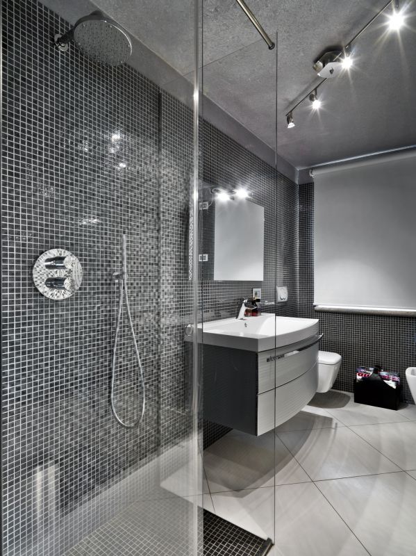 Luxury Shower with Multiple Features